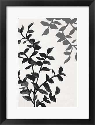 Framed Botanical In Noir II Print