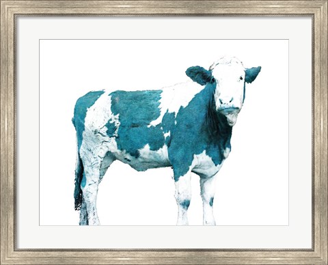 Framed Blue Swiss Cow Print