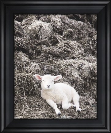 Framed Sheep Vibes Print