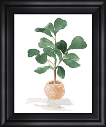 Framed Potted Fiddle Fig Tree I Print