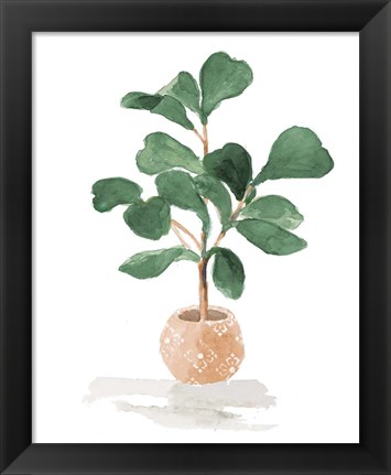 Framed Potted Fiddle Fig Tree I Print