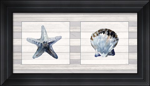 Framed Starfish &amp; Shell Duo Print