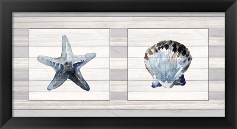 Framed Starfish &amp; Shell Duo Print