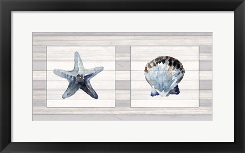 Framed Starfish &amp; Shell Duo Print