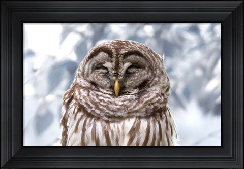 Framed Winter Feathers Print