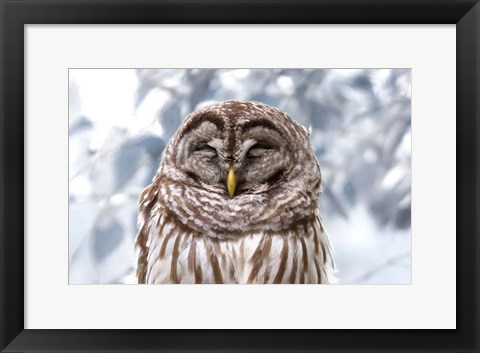 Framed Winter Feathers Print