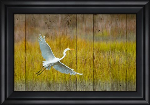 Framed Golden Hour Print