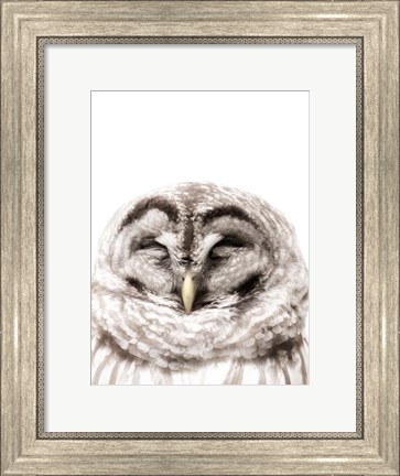 Framed Warm Feathers Print