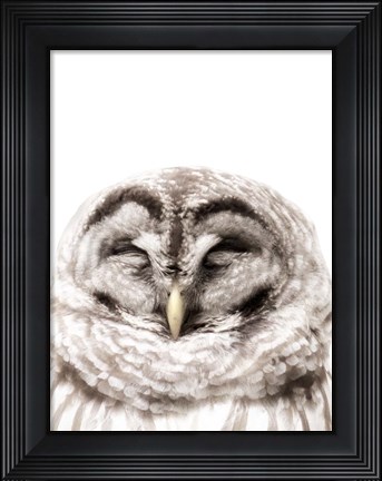 Framed Warm Feathers Print