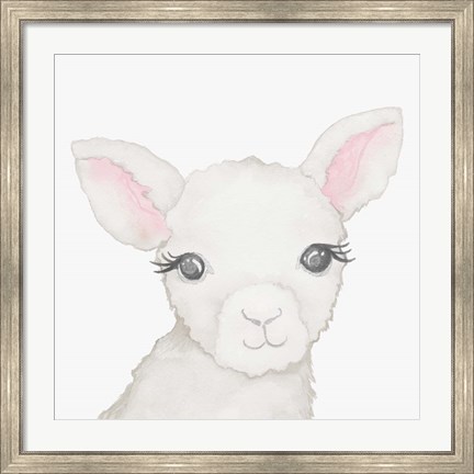 Framed Baby Lamb Print