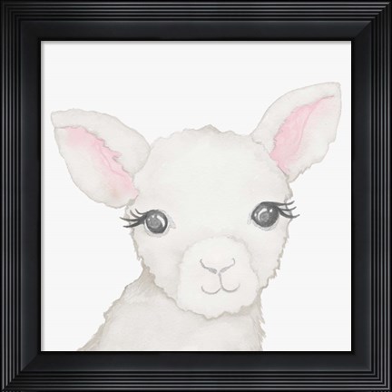 Framed Baby Lamb Print