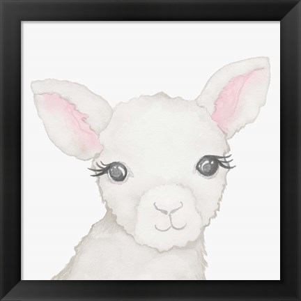 Framed Baby Lamb Print