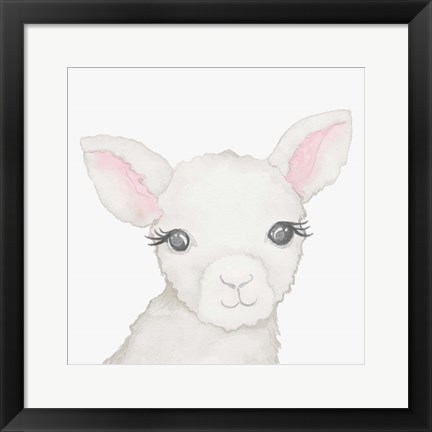 Framed Baby Lamb Print