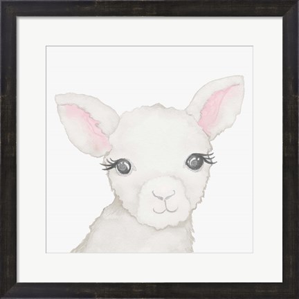 Framed Baby Lamb Print