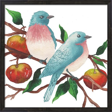 Framed Birds and Apples Print