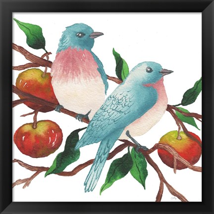 Framed Birds and Apples Print