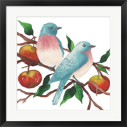 Framed Birds and Apples Print