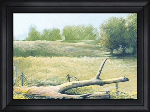 Framed Sunrise In The Field Print