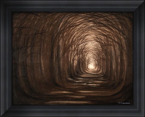 Framed Sundown In A Forest Print