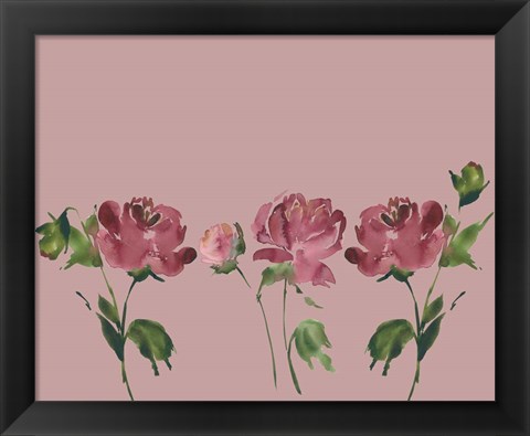 Framed Trio Of Peonies Print