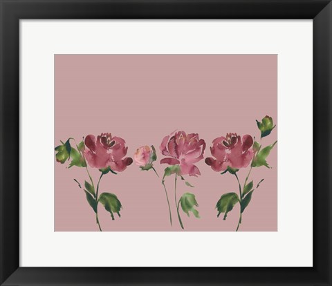 Framed Trio Of Peonies Print