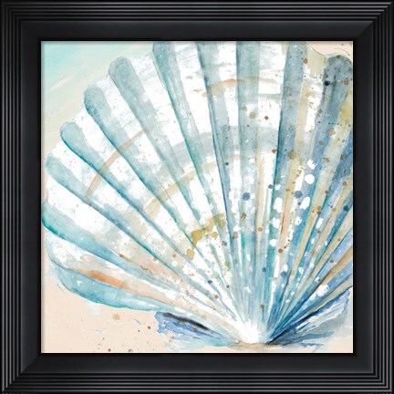 Framed Awashed Shell Square Print