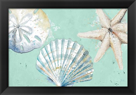 Framed Beach Shells on Turquoise Rectangle Print