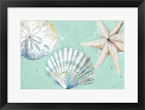 Framed Beach Shells on Turquoise Rectangle Print