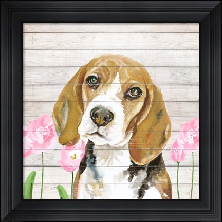 Framed Beagle With Flowers Print