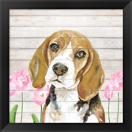 Framed Beagle With Flowers Print