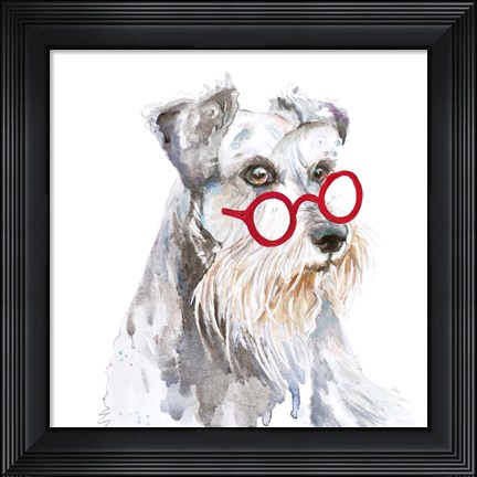 Framed Schnauzer With Glasses Print