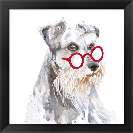 Framed Schnauzer With Glasses Print