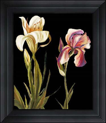 Framed Garden at Night II Print