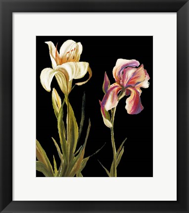 Framed Garden at Night II Print