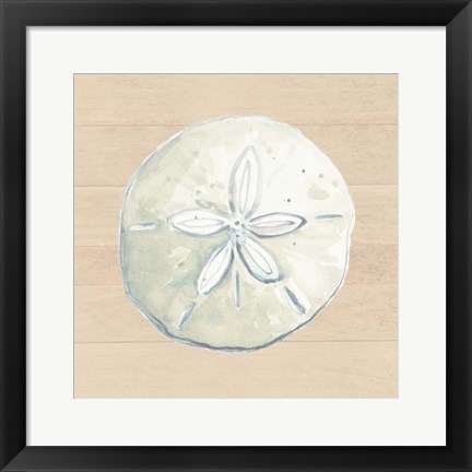 Framed Sand Dollar Print