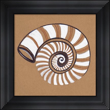 Framed Ocean World Shell Print