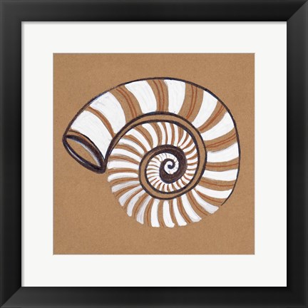 Framed Ocean World Shell Print