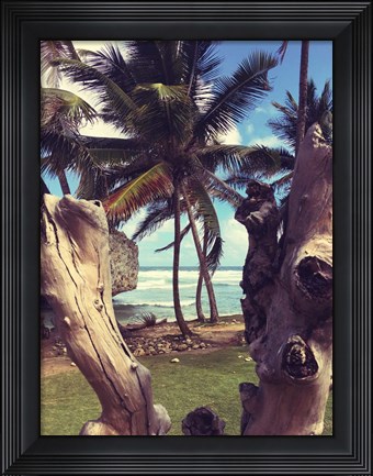 Framed Oceanside Palms Print
