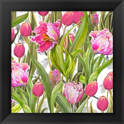 Framed Tulip Symphony I Print