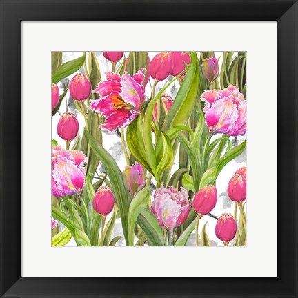 Framed Tulip Symphony I Print