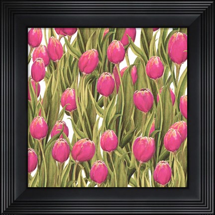 Framed Tulip Symphony II Print