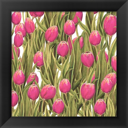 Framed Tulip Symphony II Print