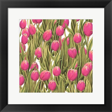 Framed Tulip Symphony II Print