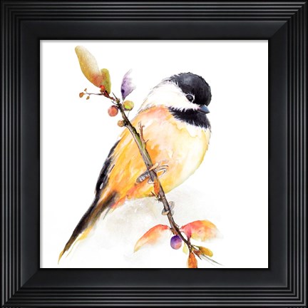 Framed Watercolor Chickadee I Print