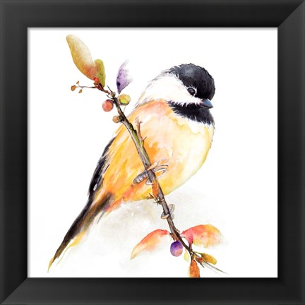 Framed Watercolor Chickadee I Print