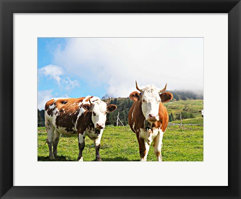 Framed Country Cows Print