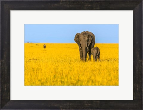 Framed Vibrant Africa Print