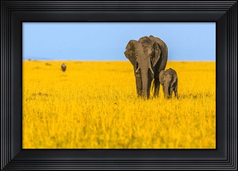 Framed Vibrant Africa Print