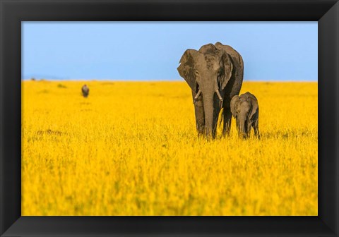 Framed Vibrant Africa Print