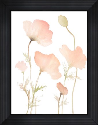 Framed Early Summer Poppies I Print
